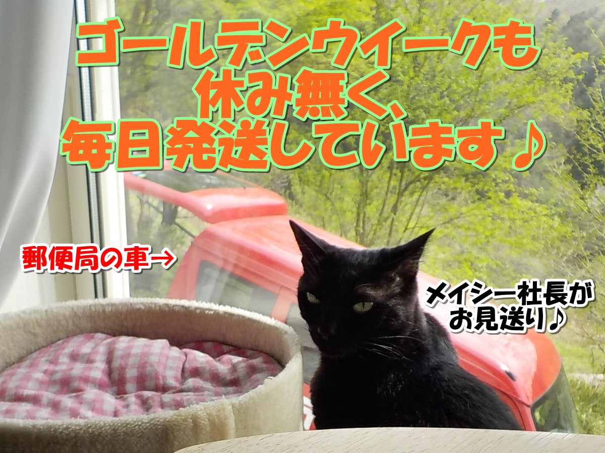 ゴールデンウイーク・土日祝も毎日発送しています♪2024/4/28
